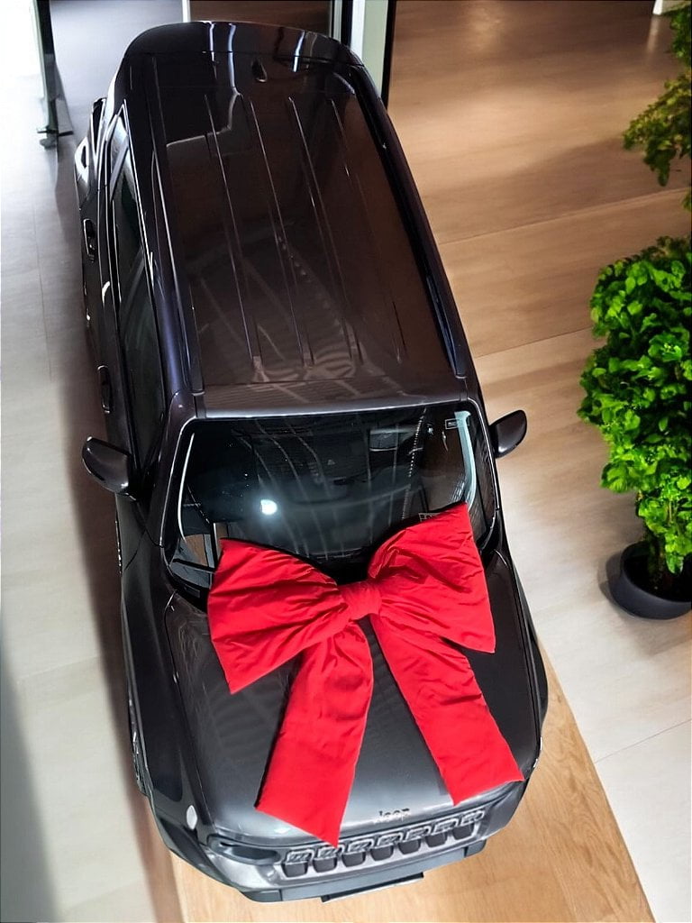 Laço decorativo grande